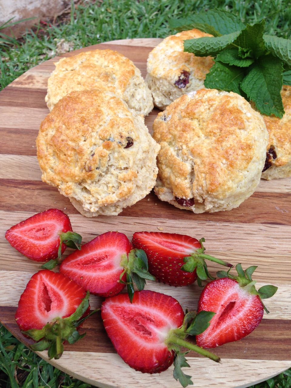 You are currently viewing Cranberry Scones – The perfect tea time treats